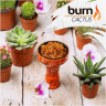 BURN 100g - Cactus BURN 100g - Cactus