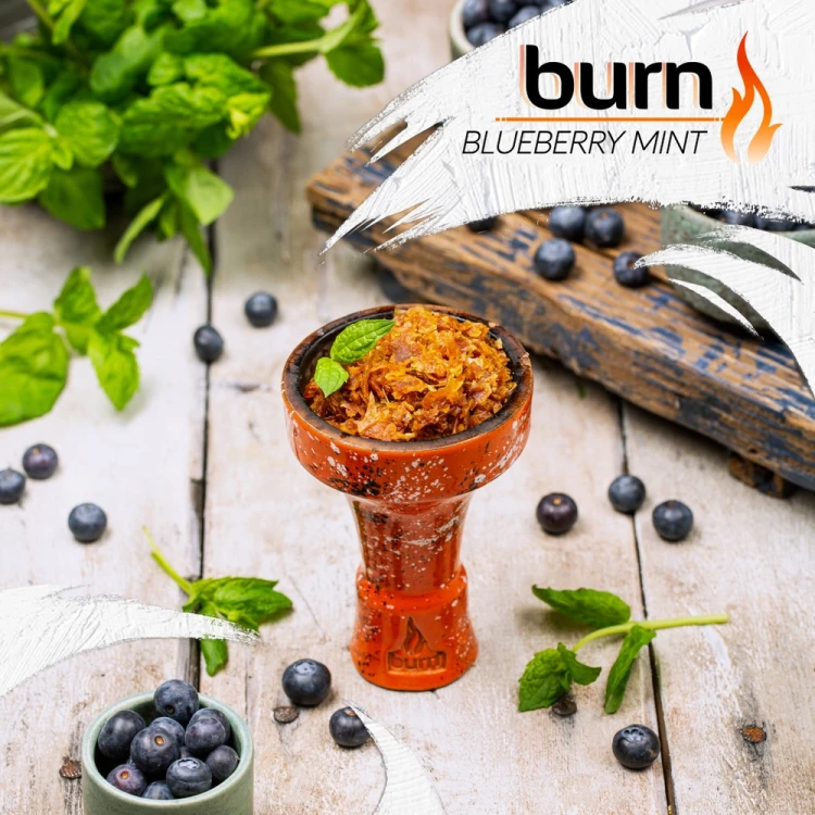 BURN 100g - Blueberry mint