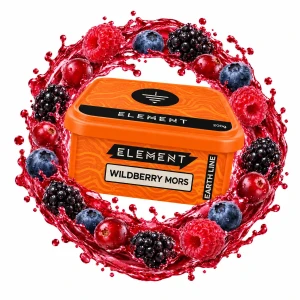 ELEMENT ЗЕМЛЯ 200g - Wildberry mors