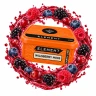 ELEMENT ЗЕМЛЯ 200g - Wildberry mors