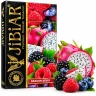 JIBIAR 50 g - Dragon berry