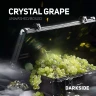 DARKSIDE 100 g - Crystal grape DARKSIDE 100 g - Crystal grape