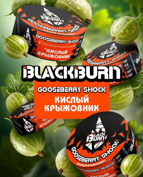 BLACK BURN 200 g - Gooseberry shock