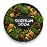 BLACK BURN 100 g - Siberian soda BLACK BURN 100 g - Siberian soda
