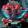 DS Xperience 30 g - Cake flip DS Xperience 30 g - Cake flip