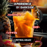 DS Xperience 30 g - Petrol Headz