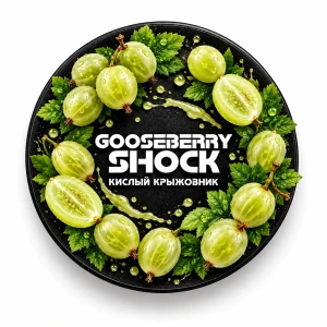 BLACK BURN 100 g - Gooseberry shock