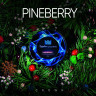 Sapphire Crown 100 g - Pineberry Sapphire Crown 100 g - Pineberry