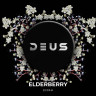 Elderberry 100 g