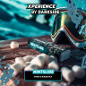DS Xperience 120 g - Mintslide