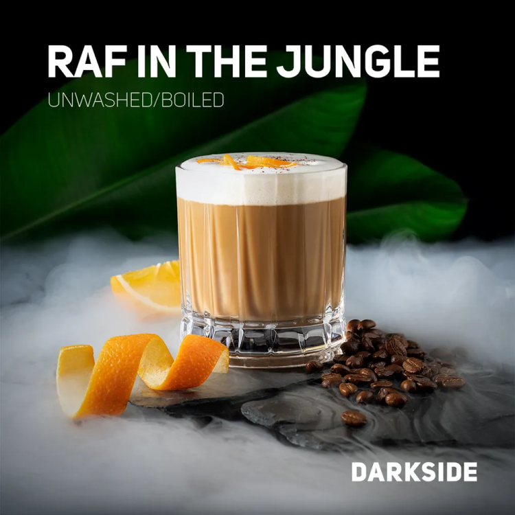 DARKSIDE 250 g - Raf in the jungle