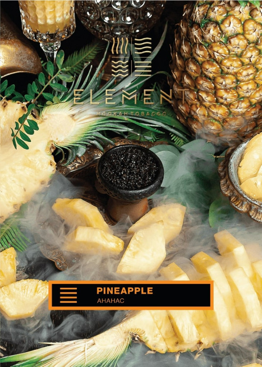 ELEMENT ЗЕМЛЯ 200g - Pineapple