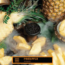 ELEMENT ЗЕМЛЯ 200g - Pineapple