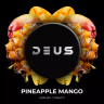 Pineapple mango 100 g