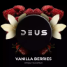 Vanilla berries 100 g Vanilla berries 100 g