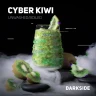 DARKSIDE 100 g - Cyber Kiwi