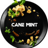 BLACK BURN 100 g - Cane Mint