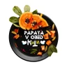BLACK BURN 100 g - Papaya v Obed BLACK BURN 100 g - Papaya v Obed