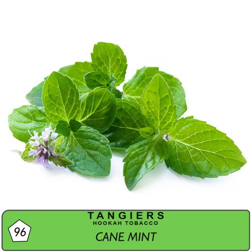 TANGIERS BIRQUQ 250g - Cane Mint #96