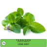 TANGIERS BIRQUQ 250g - Cane Mint #96
