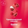 STARLINE 250G - Тропический смузи