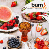 BURN 100g - Berried treasure BURN 100g - Berried treasure