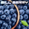 SYNDICATE BLACK 50g - Bill Berry