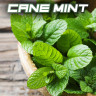 SYNDICATE BLACK 50g - Cane Mint