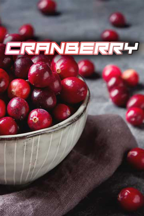 SYNDICATE BLACK 50g - Cranberry