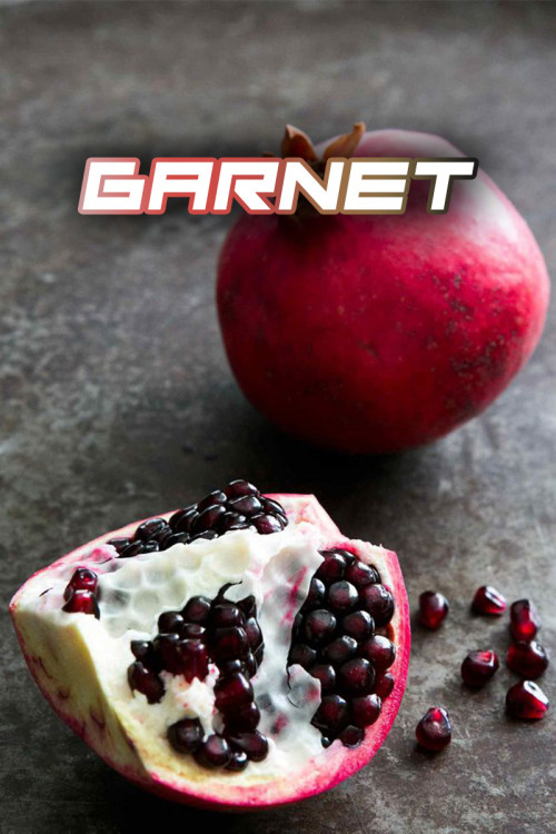 SYNDICATE BLACK 50g - Garnet