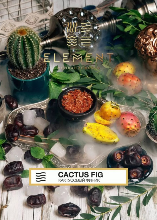 ELEMENT ВОЗДУХ 200g - Cactus Fig