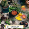 ELEMENT ВОЗДУХ 200g - Cactus Fig ELEMENT ВОЗДУХ 200g - Cactus Fig