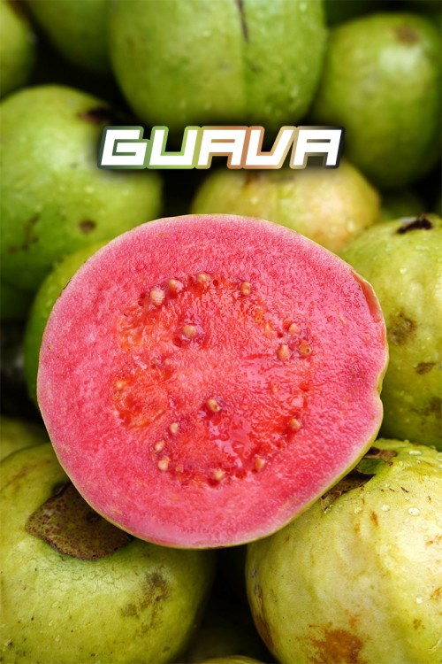 SYNDICATE BLACK 50g - Guava