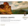 SATYR 100 g - Georgia Grapes