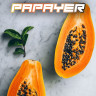 SYNDICATE BLACK 50g - Papayer